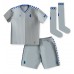 Billiga Everton Ashley Young #18 Barnkläder Tredje fotbollskläder till baby 2023-24 Kortärmad (+ Korta byxor)